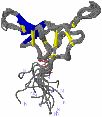 Image NMR Structure - all models