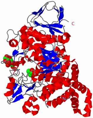 Image Asym./Biol. Unit