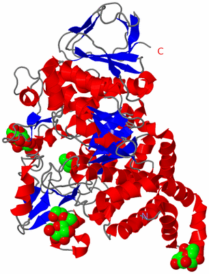 Image Asym./Biol. Unit