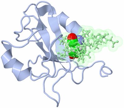 Image NMR Structure - model 1