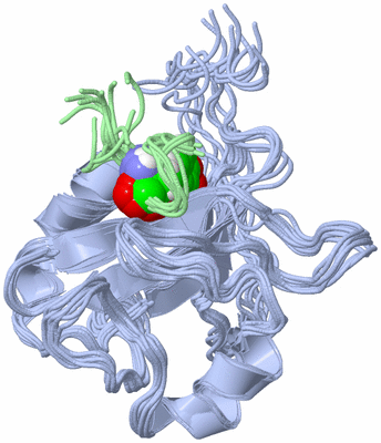 Image NMR Structure - all models