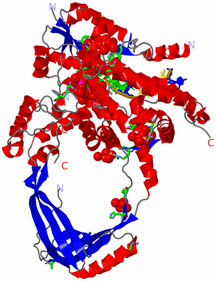 Image Asym./Biol. Unit - sites