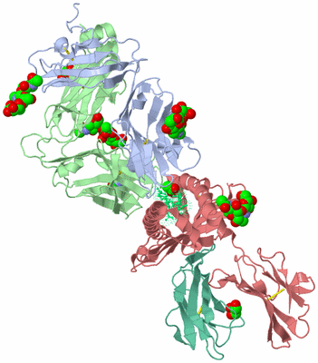 Image Biological Unit 1