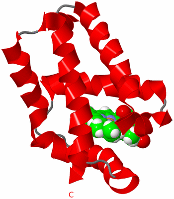 Image NMR Structure - model 1