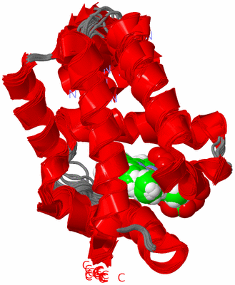 Image NMR Structure - all models