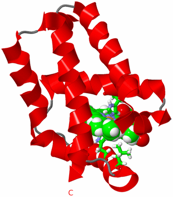 Image NMR Structure - model 1, sites