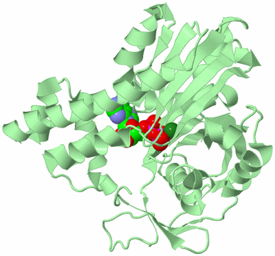 Image Biological Unit 2