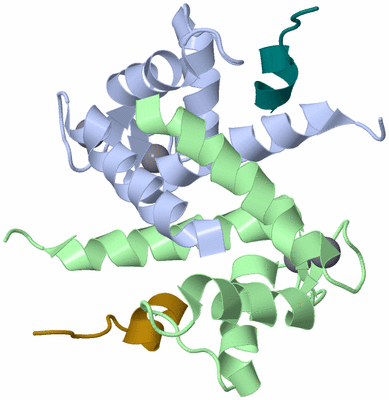 Image NMR Structure - model 1