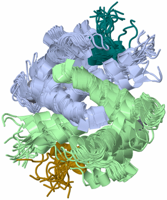 Image NMR Structure - all models