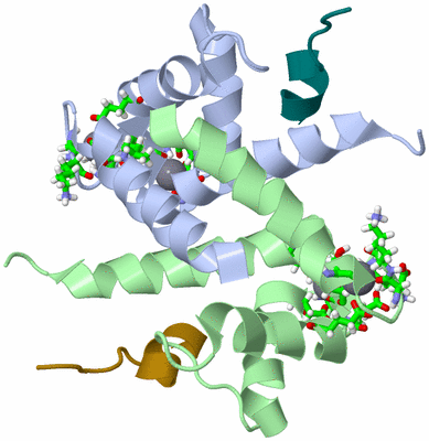 Image NMR Structure - model 1, sites