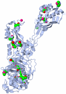 Image Biological Unit 1