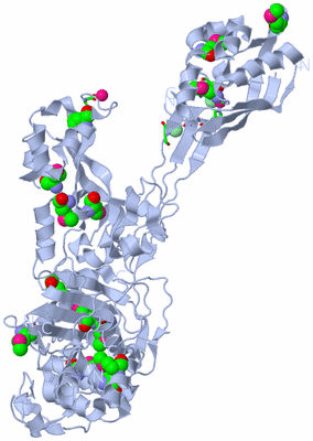 Image Biol. Unit 1 - sites