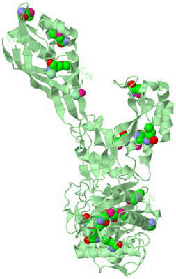 Image Biological Unit 2