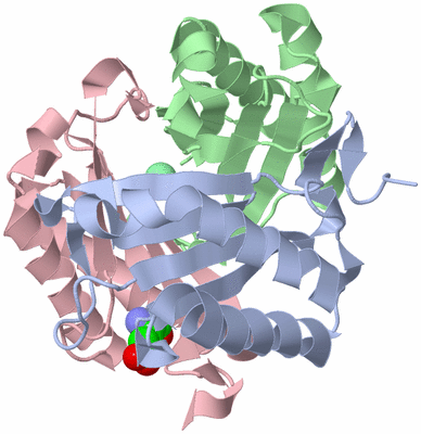 Image Asym./Biol. Unit