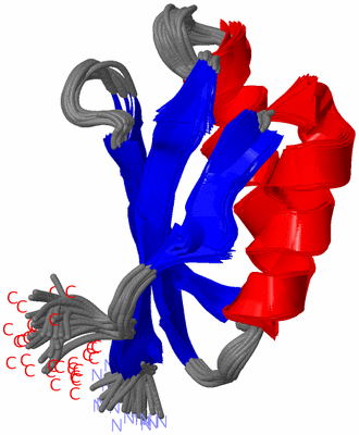 Image NMR Structure - all models