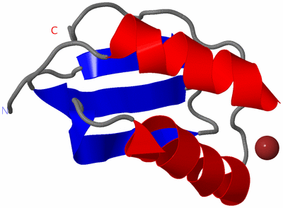 Image NMR Structure - model 1