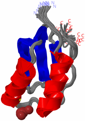 Image NMR Structure - all models