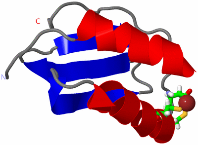 Image NMR Structure - model 1, sites