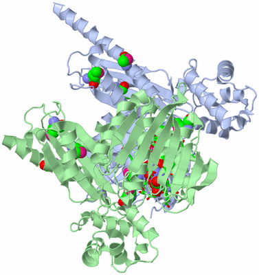 Image Biol. Unit 1 - sites