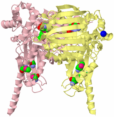 Image Biological Unit 2