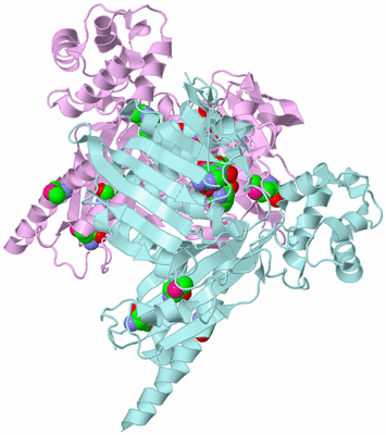 Image Biological Unit 3