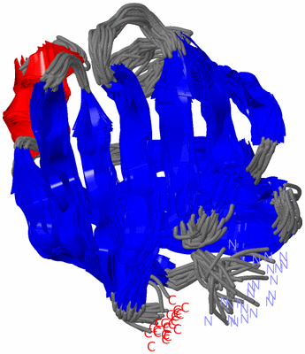 Image NMR Structure - all models