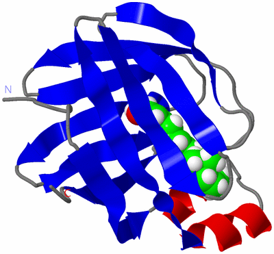 Image NMR Structure - model 1