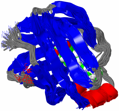 Image NMR Structure - all models