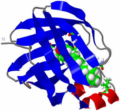 Image NMR Structure - model 1, sites