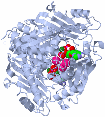 Image Biological Unit 1