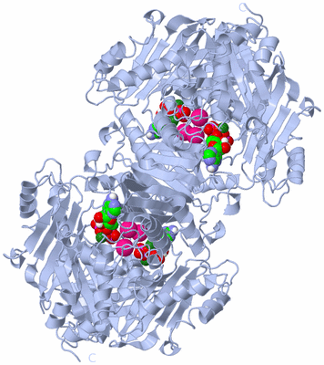 Image Biological Unit 2