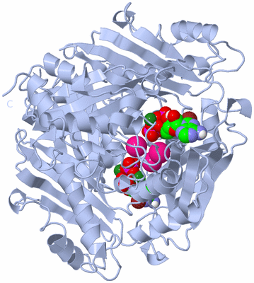 Image Biological Unit 1