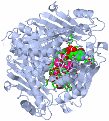 Image Biol. Unit 1 - sites