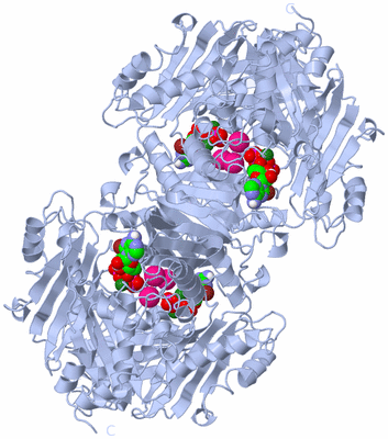 Image Biological Unit 2