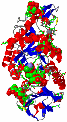 Image Asym./Biol. Unit - sites