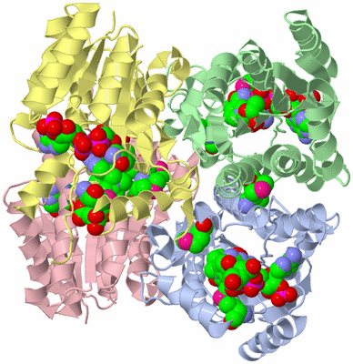 Image Asym./Biol. Unit