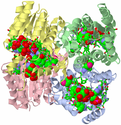 Image Asym./Biol. Unit - sites