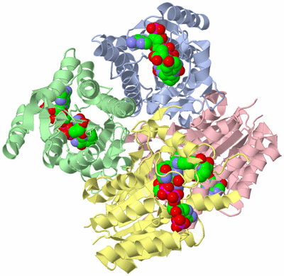 Image Asym./Biol. Unit