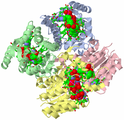 Image Asym./Biol. Unit - sites