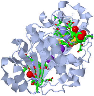 Image Biol. Unit 1 - sites