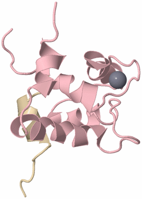 Image NMR Structure - model 1