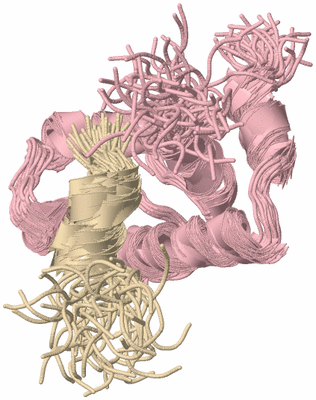 Image NMR Structure - all models