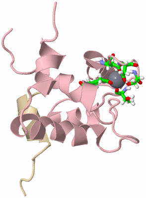 Image NMR Structure - model 1, sites