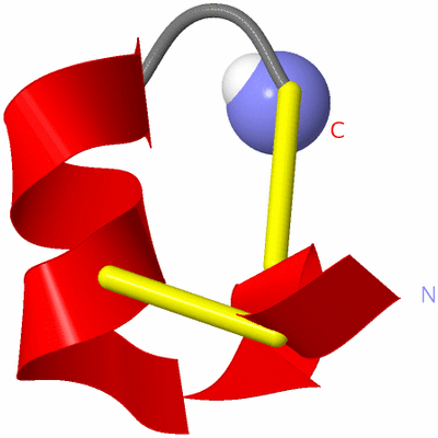 Image NMR Structure - model 1