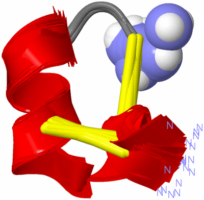 Image NMR Structure - all models