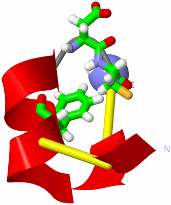 Image NMR Structure - model 1, sites