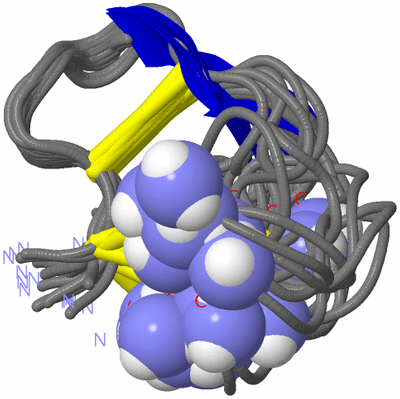 Image NMR Structure - all models