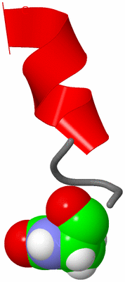 Image NMR Structure - model 1