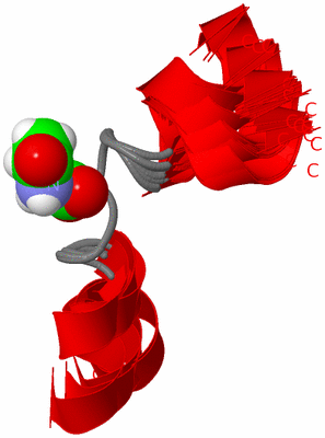 Image NMR Structure - all models