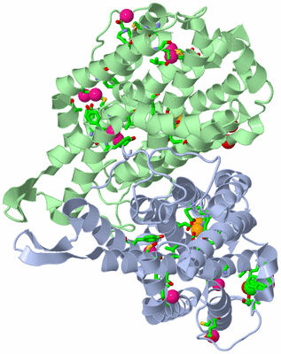 Image Asym./Biol. Unit - sites